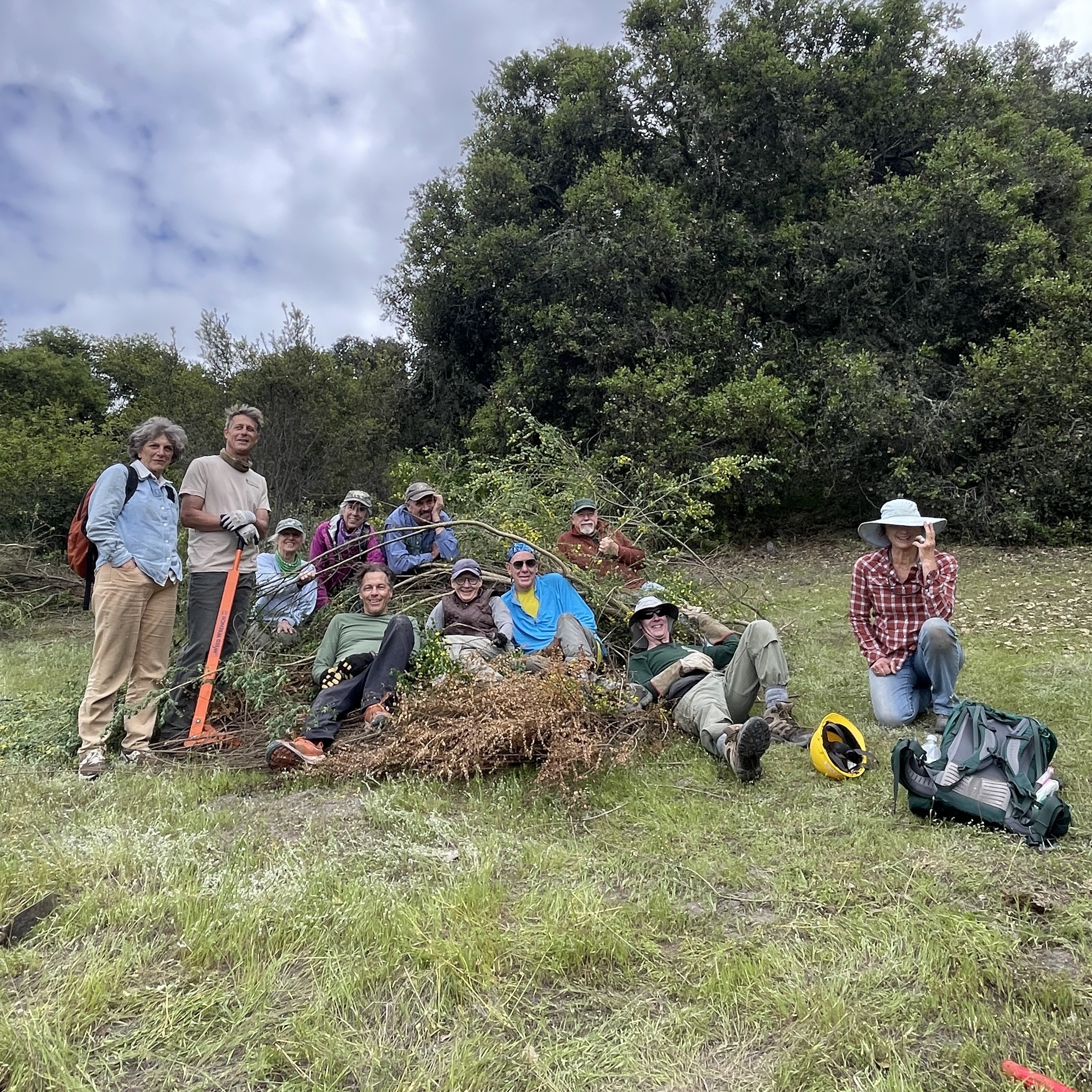 Volunteer Day: Removing Invasive French Broom - logo